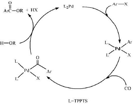 芳卤羰化反应的催化循环