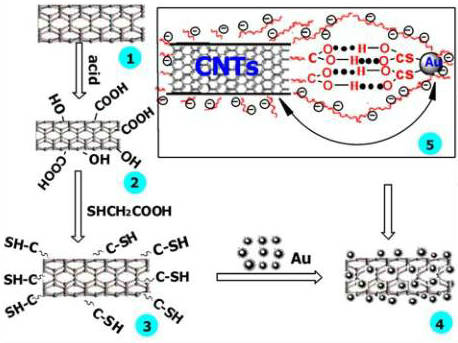 碳纳米管上金纳米粒子的修饰组装