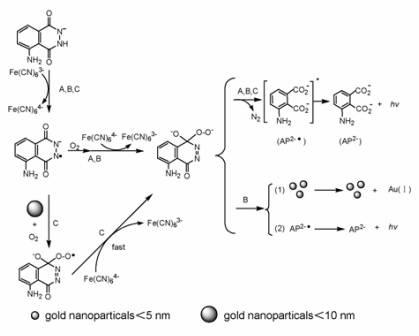 纳米金-鲁米诺-铁氰化钾化学发光反应的可能机理